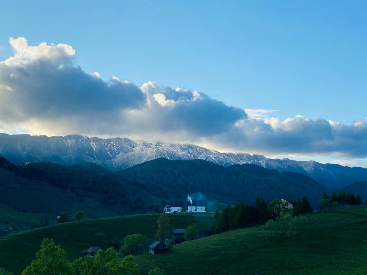 Pensiunea Soarelui Фундата Экстерьер фото
