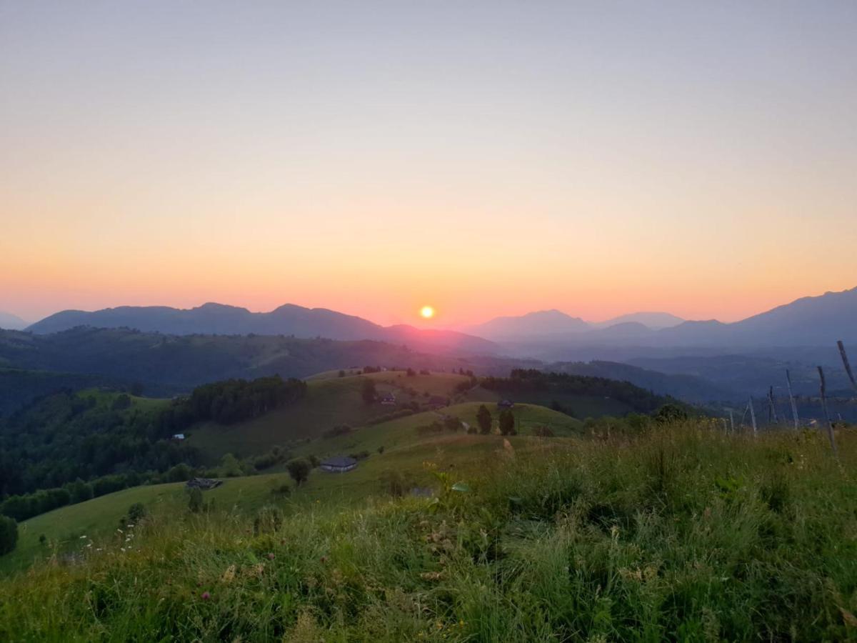Pensiunea Soarelui Фундата Экстерьер фото