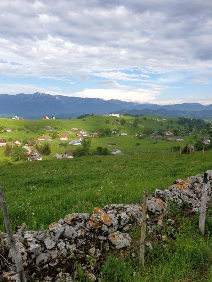 Pensiunea Soarelui Фундата Экстерьер фото