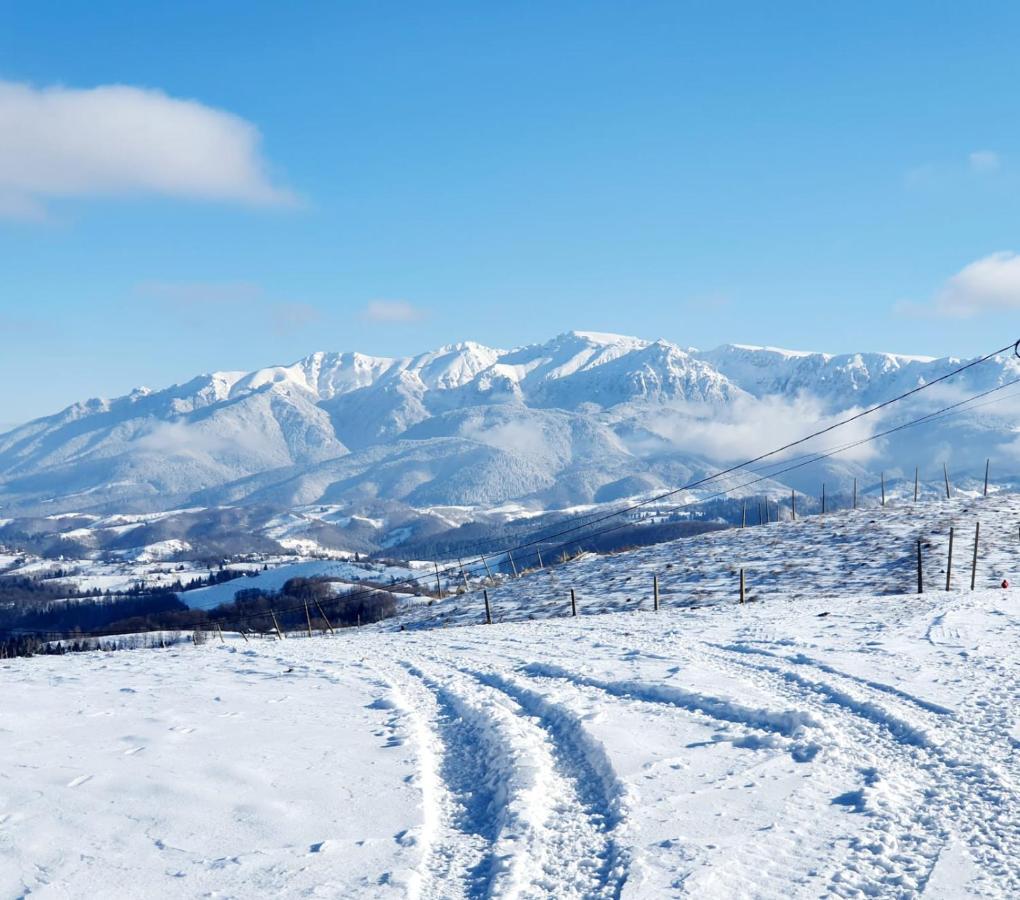 Pensiunea Soarelui Фундата Экстерьер фото